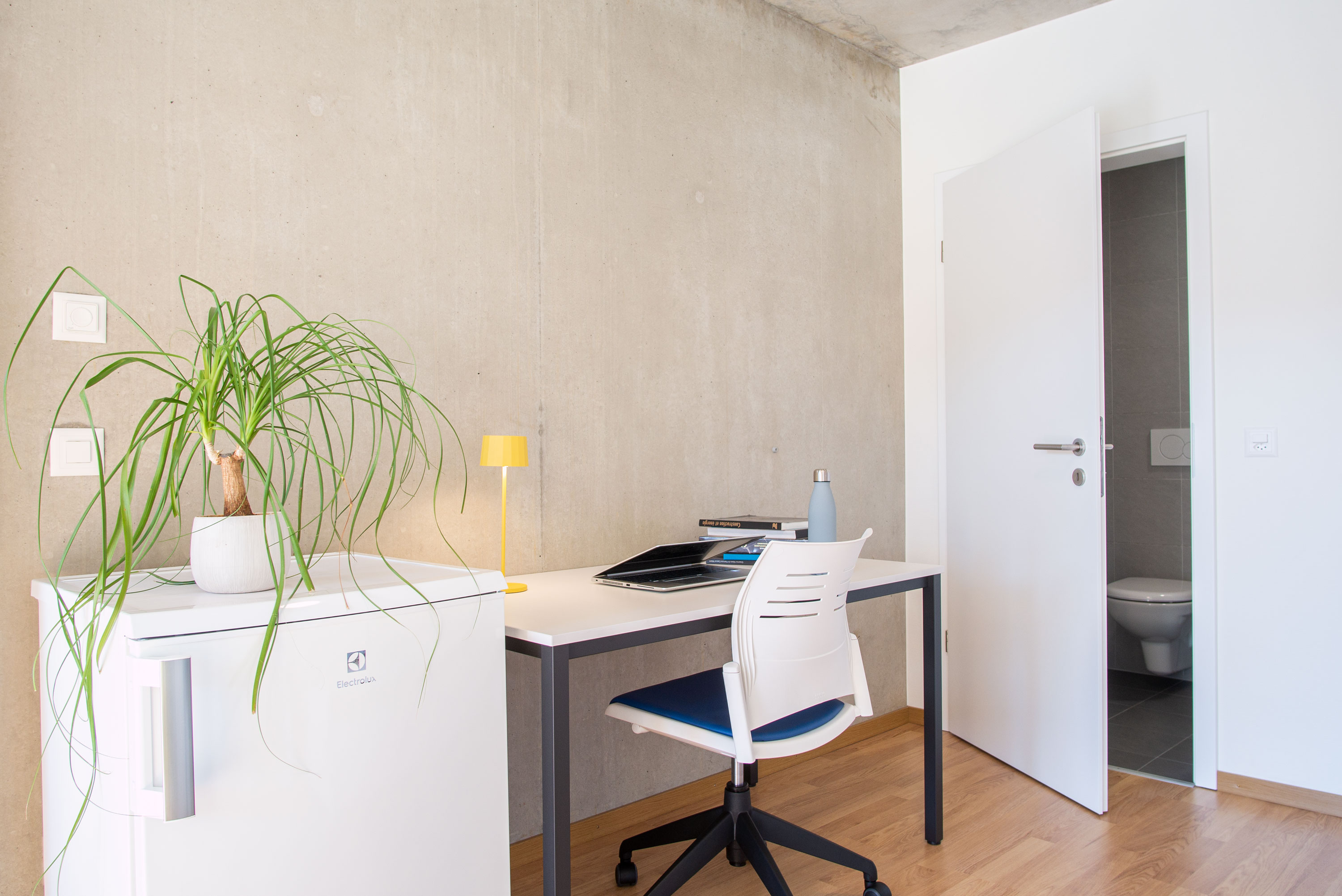 Intérieur du Vortex